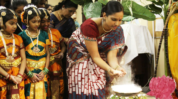 pongal