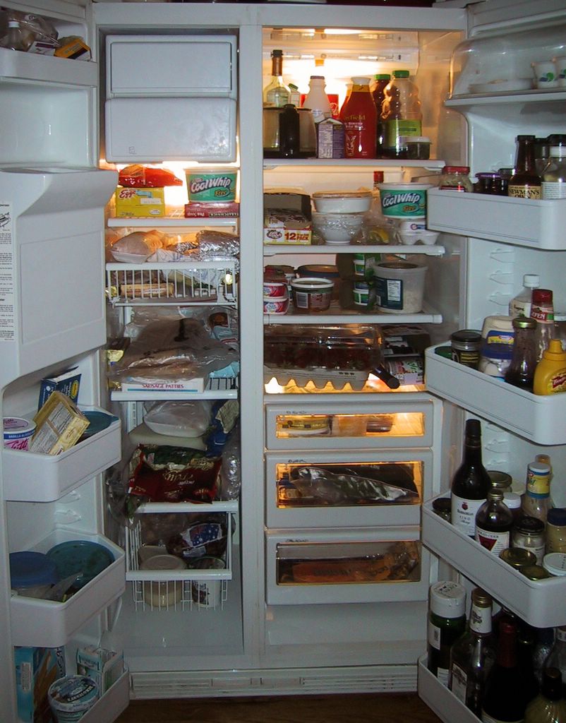 Fridge 1