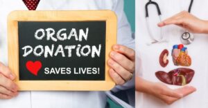 Organs and Tissues That Can Be Donated