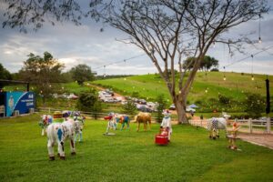 farm fresh 1 1024x683 1